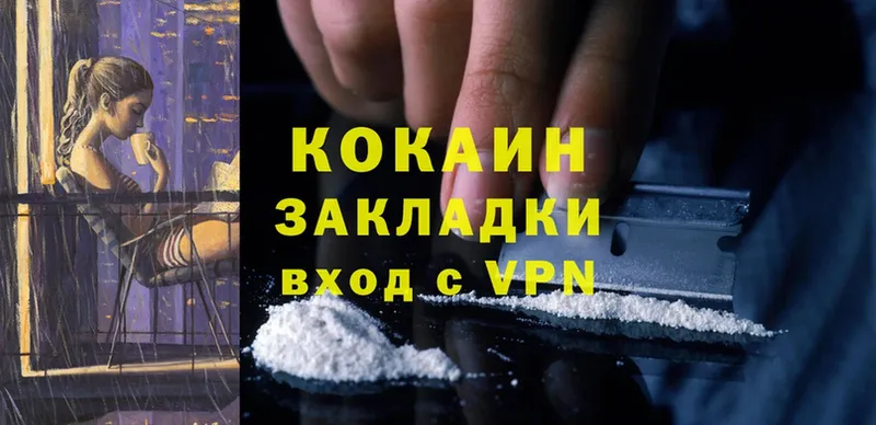 Cocaine Fish Scale  блэк спрут зеркало  дарк нет наркотические препараты  где можно купить наркотик  Дубна 